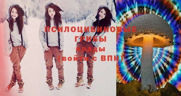 2c-b Богданович